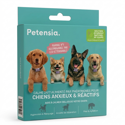 Pendentif Calmant Anti-Stress pour Chien