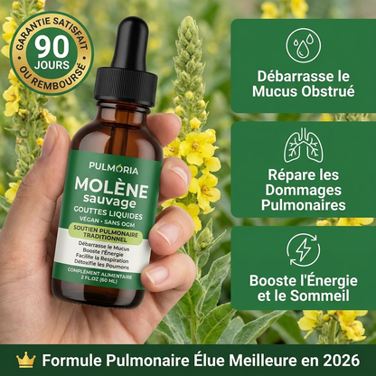 Pulmoria™ Gouttes de Mullein