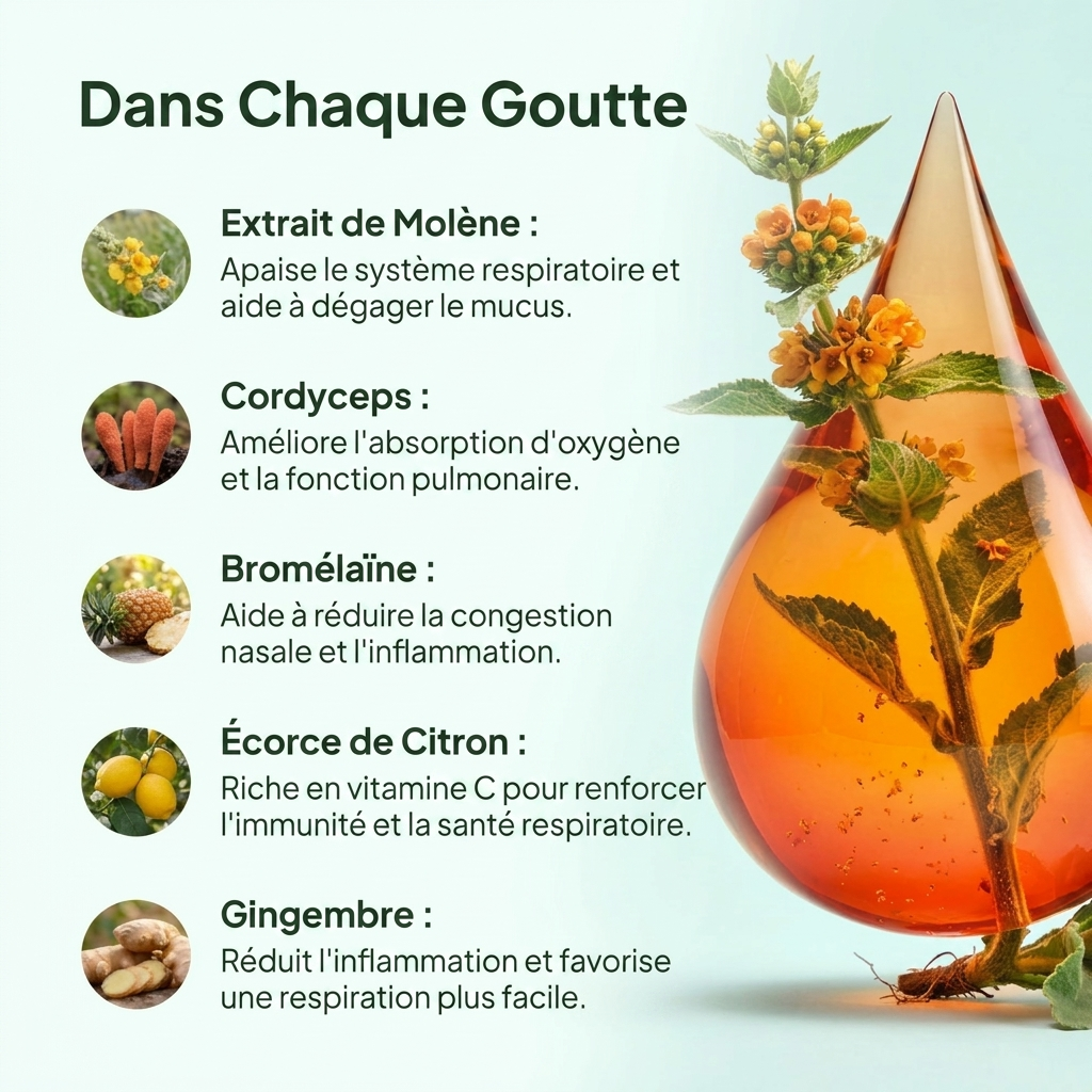 Pulmoria™ Gouttes de Mullein